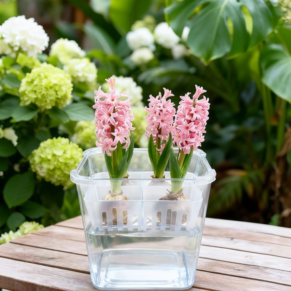Plant Pot - Wazon do uprawy tulipanów i lilii