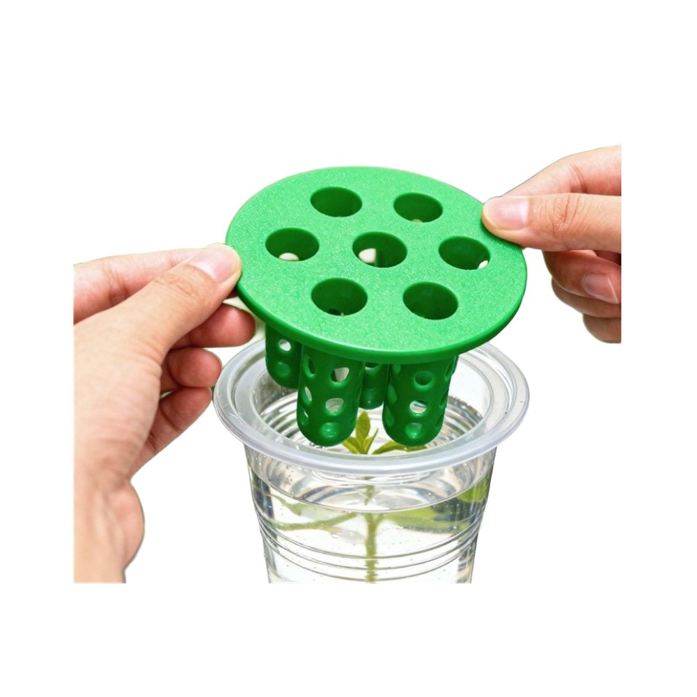 Hydroponic Kit - 4 sztuki zestawów do wzrostu cebuli