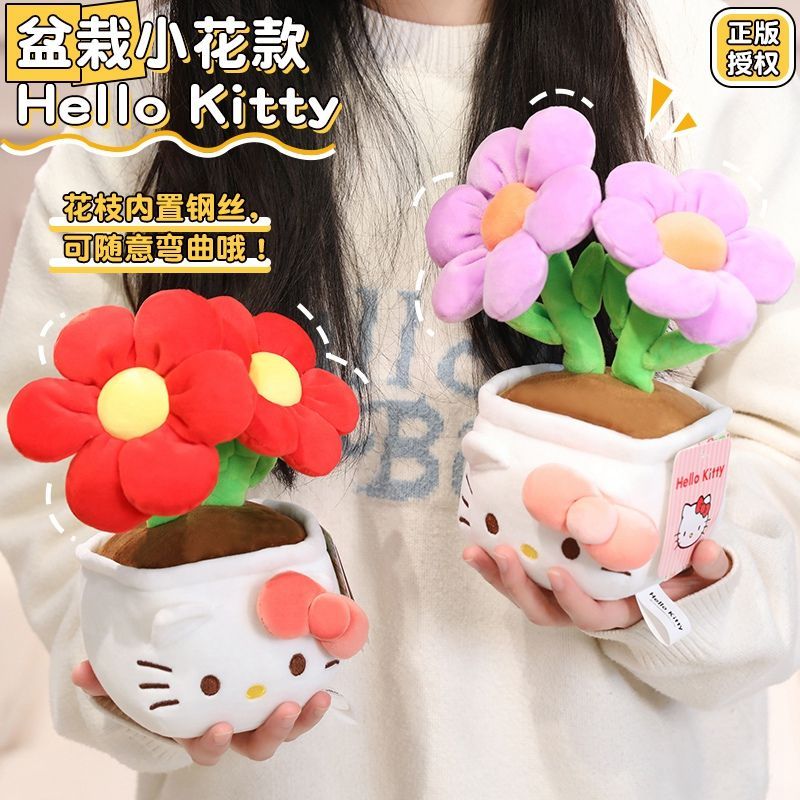 23 cm, oryginalny, z metką, He – Plant Pot recenzja i cena