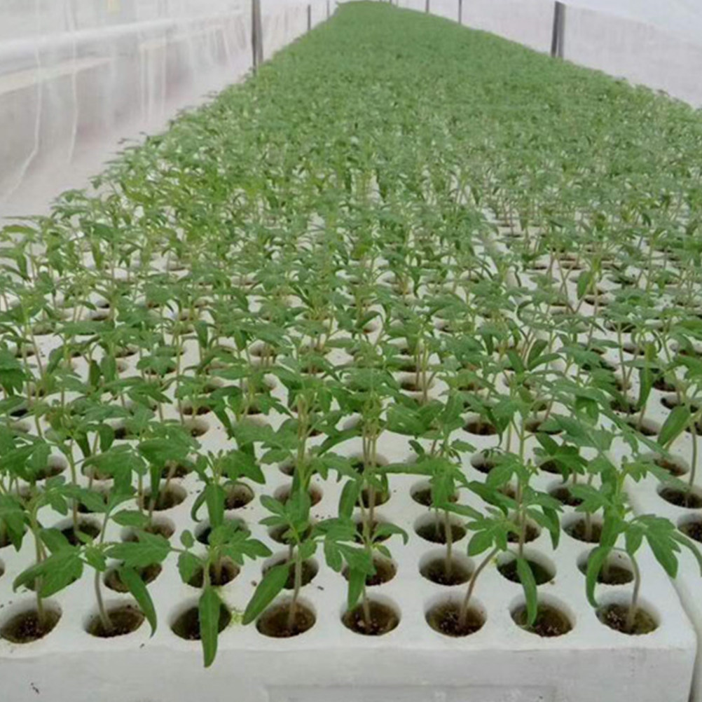 40 szt. Kostki wełniane do upr – Hydroponic Kit recenzja i cena