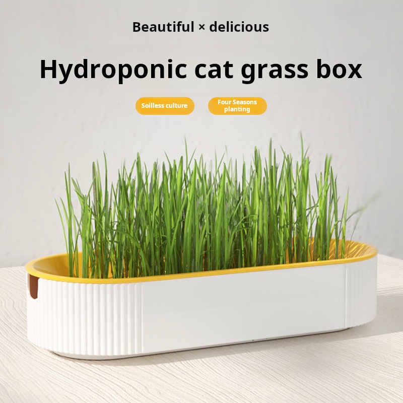 Łatwy w uprawie hydroponiczny  – Hydroponic Kit recenzja i cena