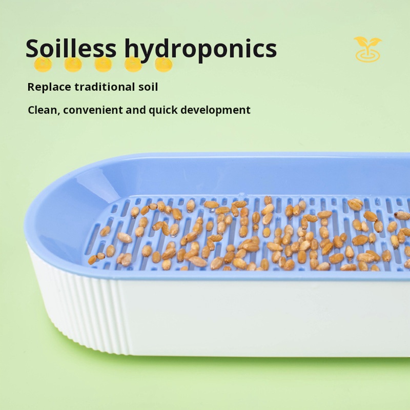 Łatwy w uprawie hydroponiczny  – Hydroponic Kit recenzja i cena