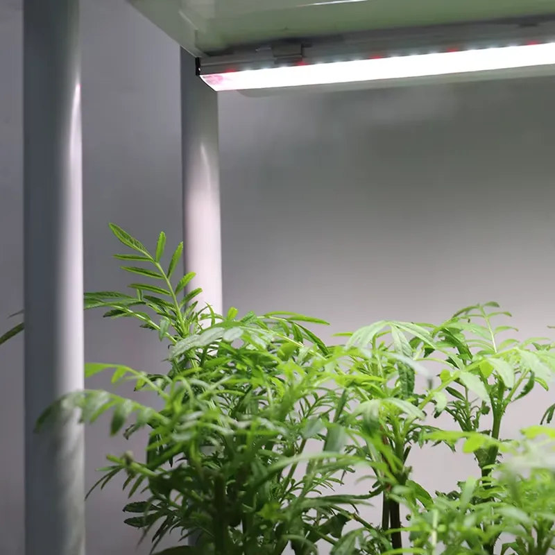 Przenośny, pionowy, 3-poziomow – Indoor Herb Garden recenzja i cena