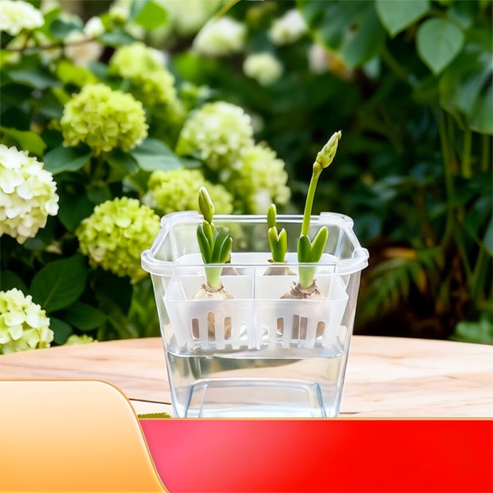 Wazon do uprawy tulipanów i li – Plant Pot recenzja i cena