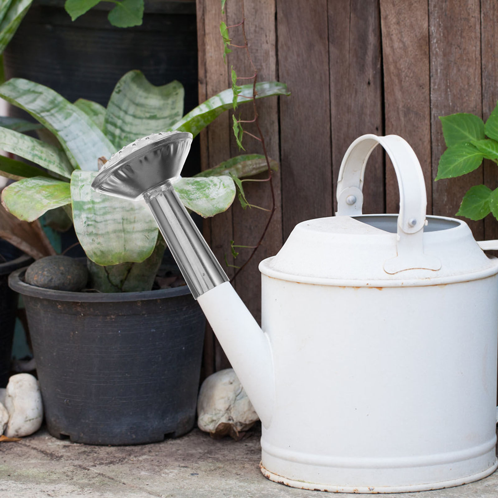 Dysza do konewki ze stali nier – Watering Can recenzja i cena