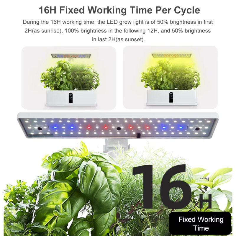 9-komórkowy inteligentny syste – Hydroponic Kit recenzja i cena
