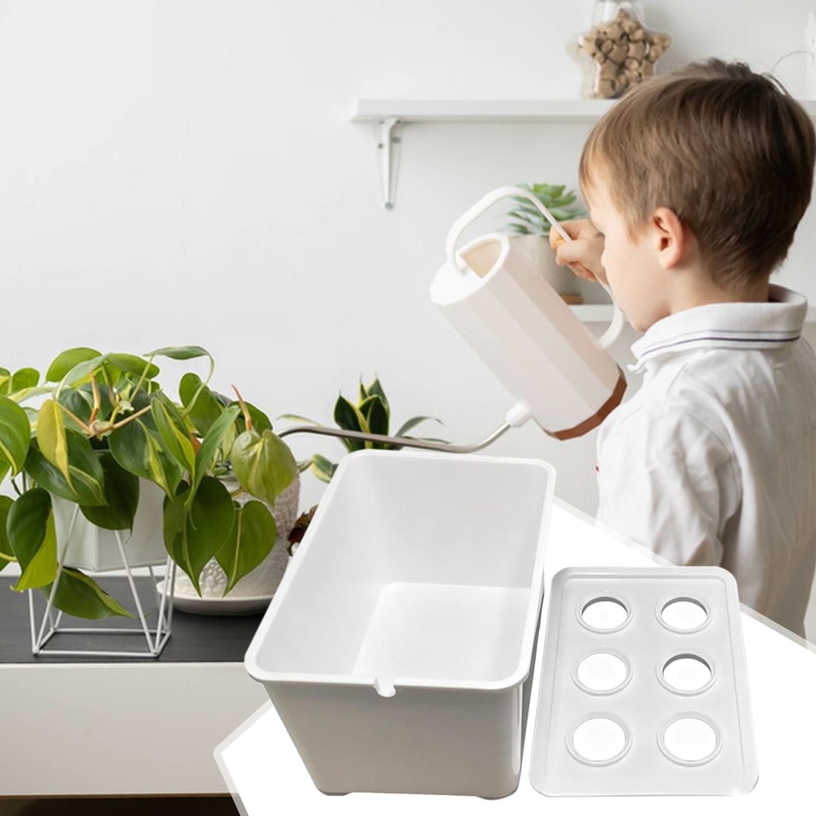 Zestaw do hydroponiki dla pocz – Hydroponic Kit recenzja i cena