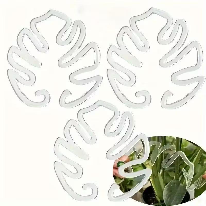 10 sztuk przezroczystych, elas – Indoor Herb Garden recenzja i cena
