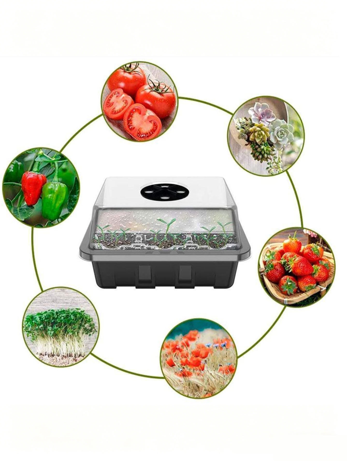 1/2 szt. Taca na sadzonki z 6/ – Seed Starter Tray recenzja i cena