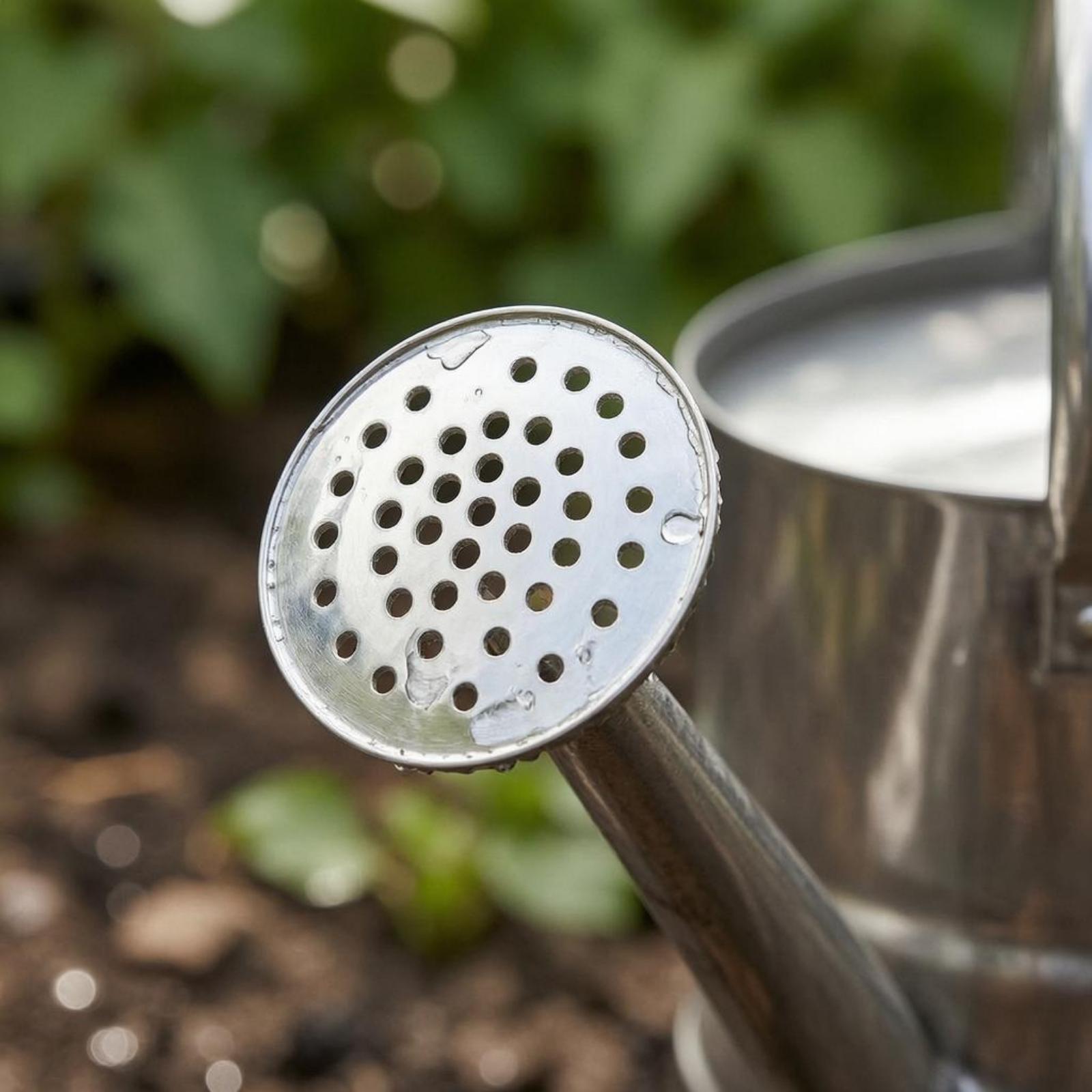 Konewka do podlewania kwiatów  – Watering Can recenzja i cena