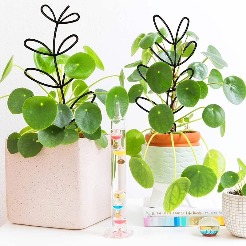 3 szt. Stelażów podtrzymującyc – Indoor Herb Garden recenzja i cena