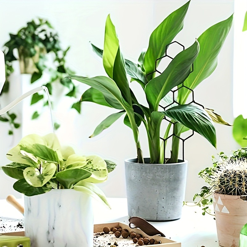 3 szt. Stelażów podtrzymującyc – Indoor Herb Garden recenzja i cena