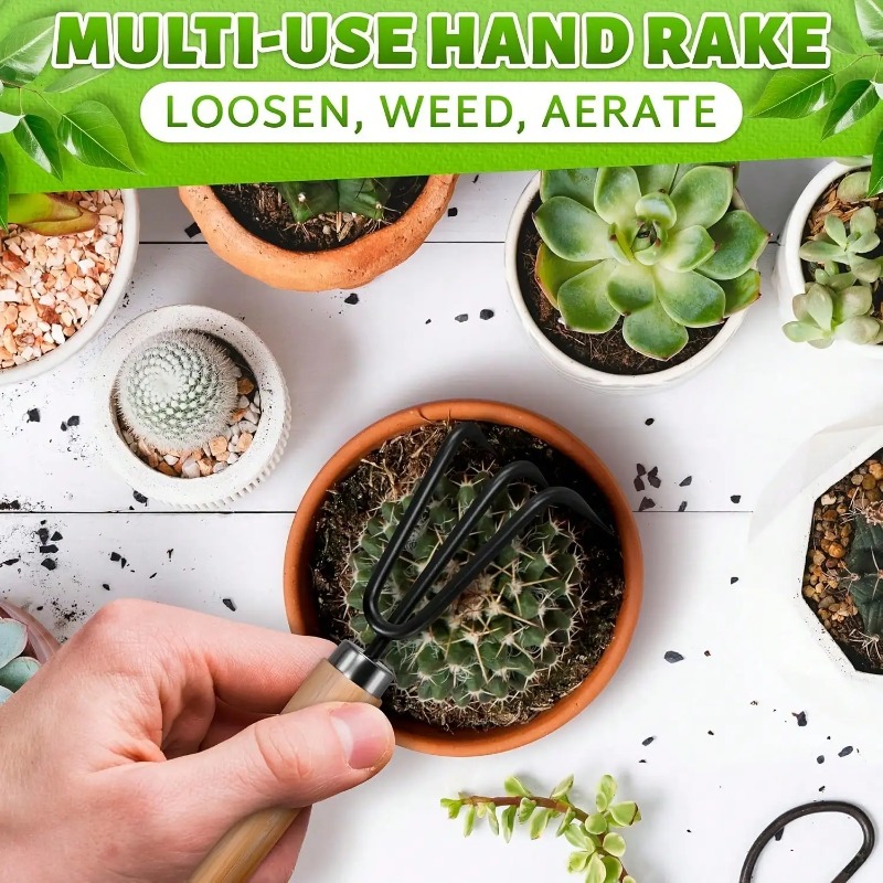 3 szt./1 zestaw Mini Zestaw Na – Indoor Herb Garden recenzja i cena