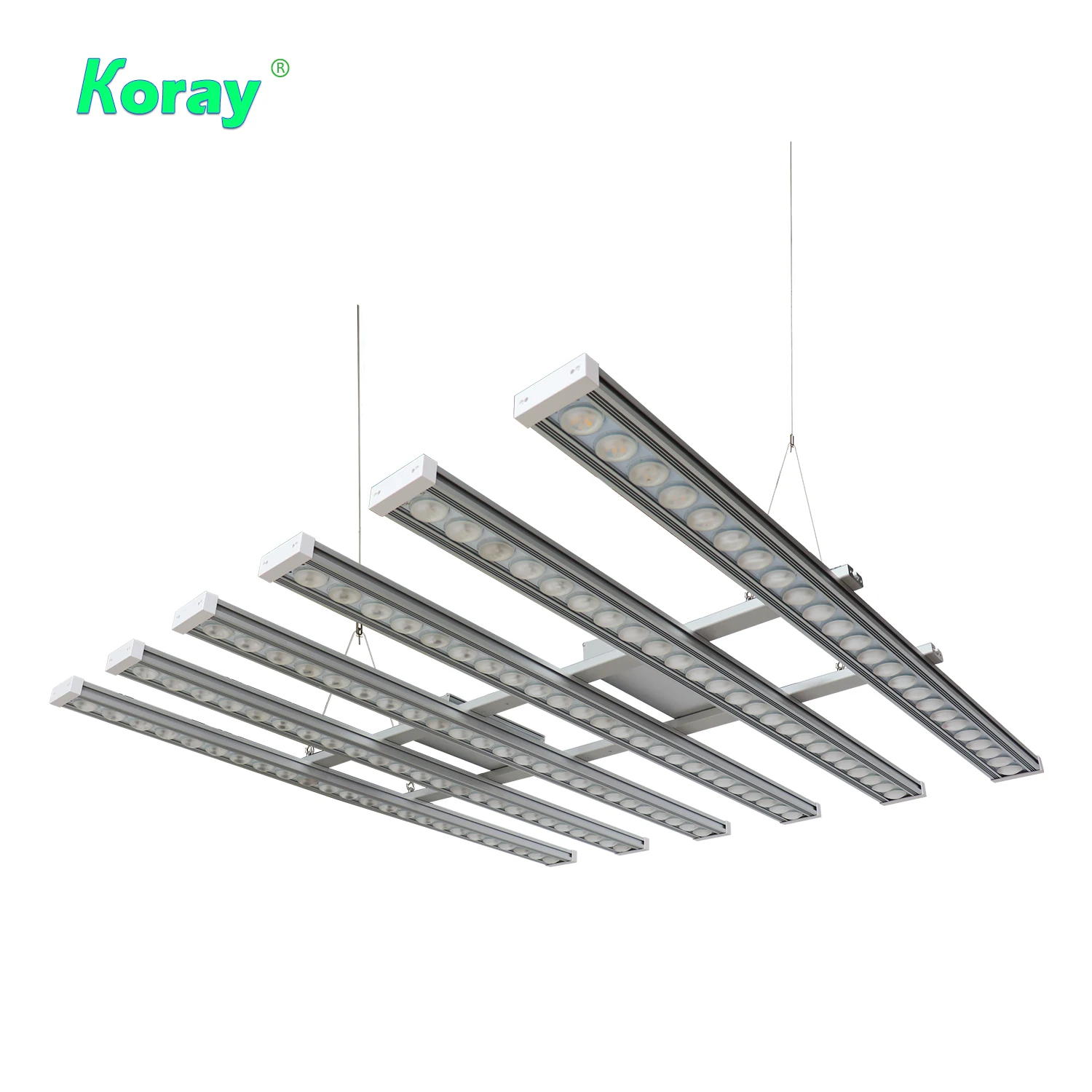 Koray 900W Wewnętrzna lampa do – Grow Light Led recenzja i cena