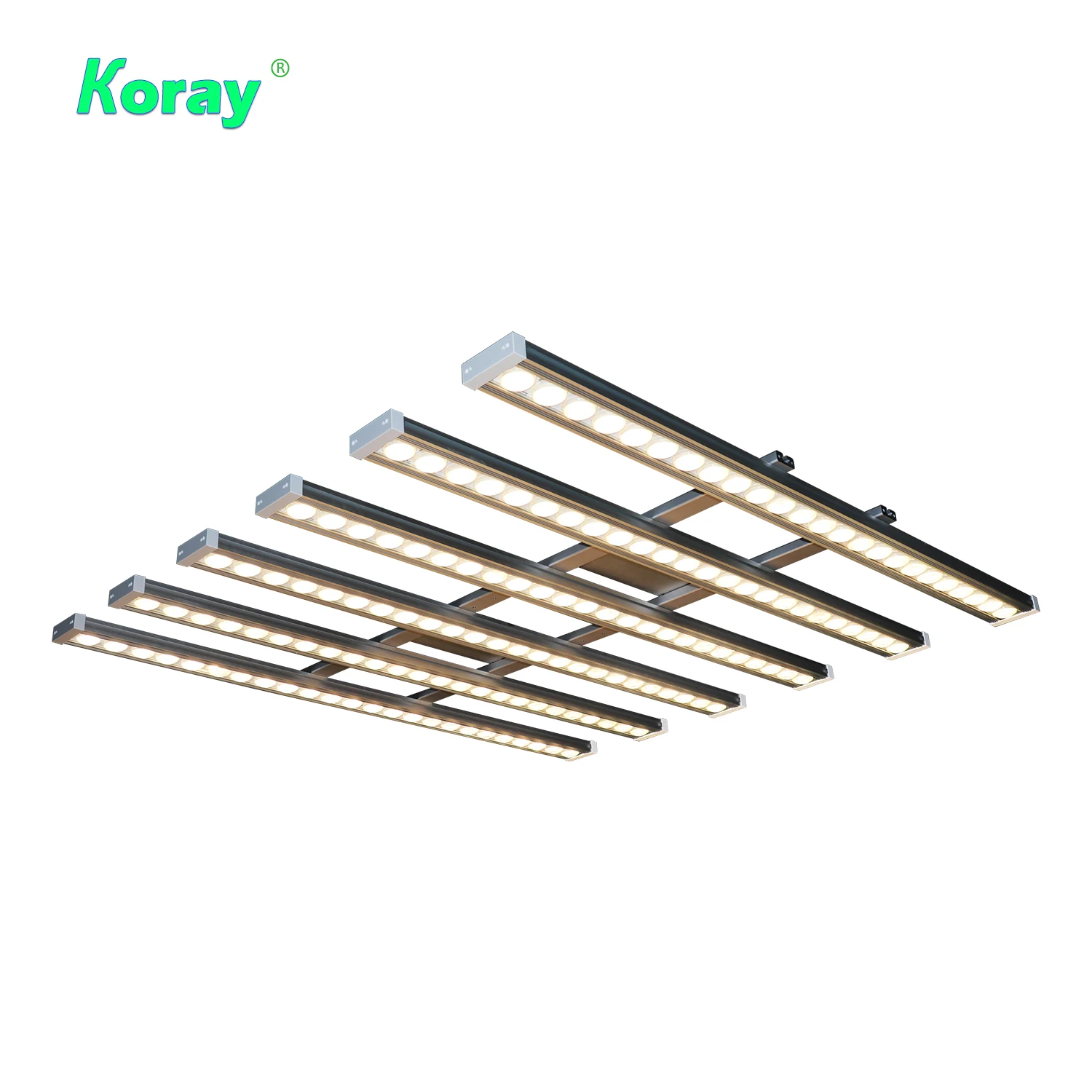 Koray 900W Wewnętrzna lampa do – Grow Light Led recenzja i cena