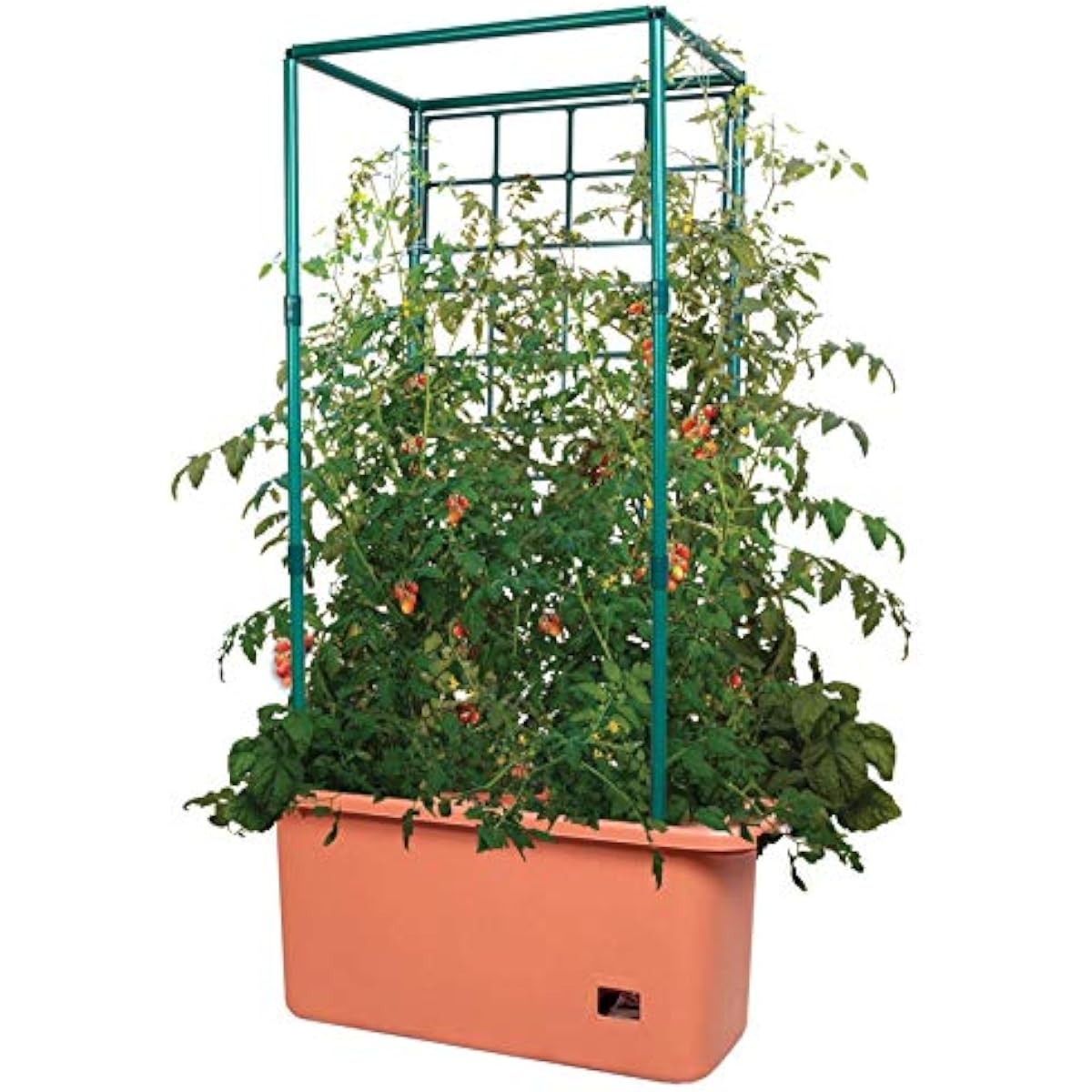 System do uprawy pomidorów GCT – Vertical Planter recenzja i cena