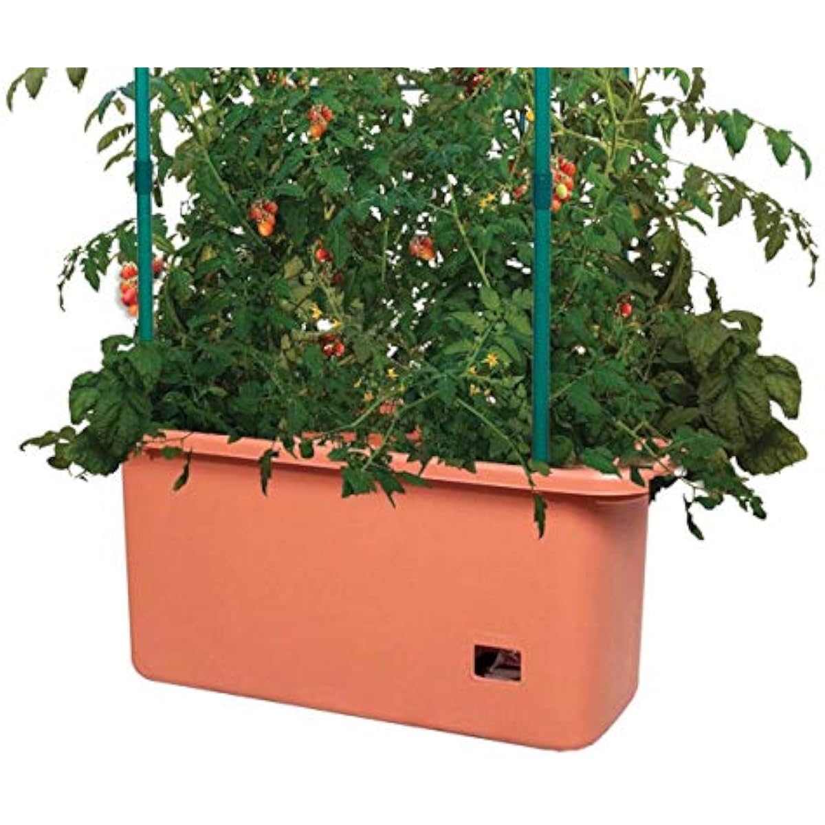 System do uprawy pomidorów GCT – Vertical Planter recenzja i cena