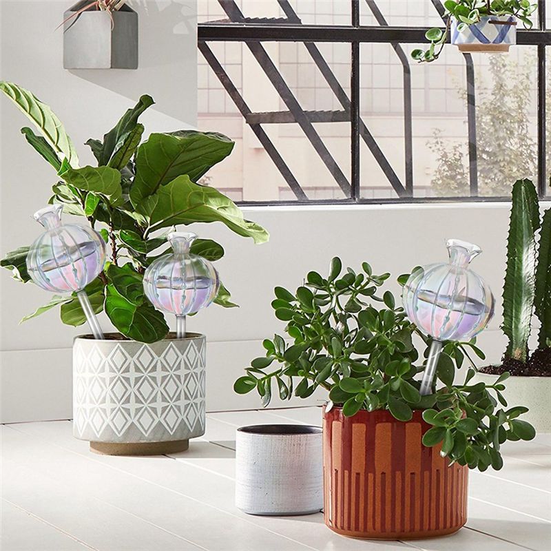 AA94 – szklane kapsułki do pod – Self Watering Planter recenzja i cena